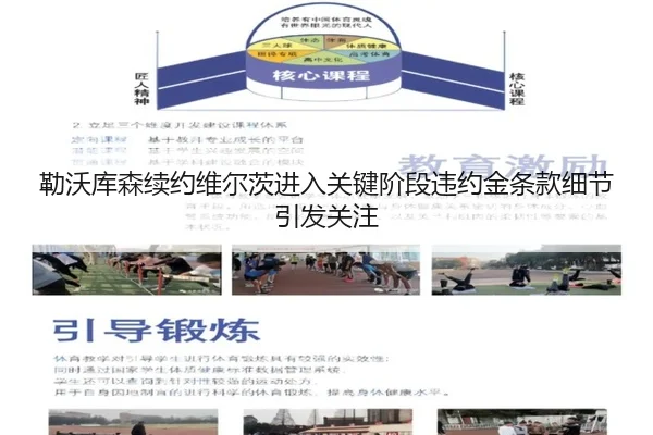 勒沃库森续约维尔茨进入关键阶段违约金条款细节引发关注