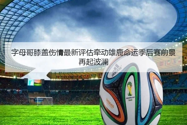 字母哥膝盖伤情最新评估牵动雄鹿命运季后赛前景再起波澜